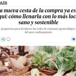 Retall article El País
