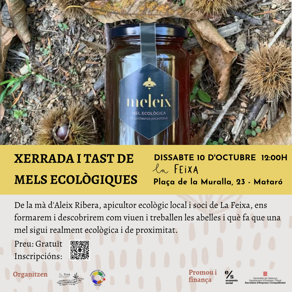 flyer activitats LFX